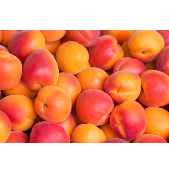 Turkish, Organic Apricots- Fresh Prunus Armeniaca